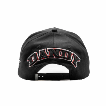 DANDY HATS x JUNIOR H "COMO JORDAN"